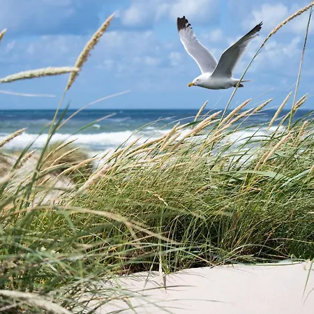 Seafront In Heist Apartment Knokke-Heist